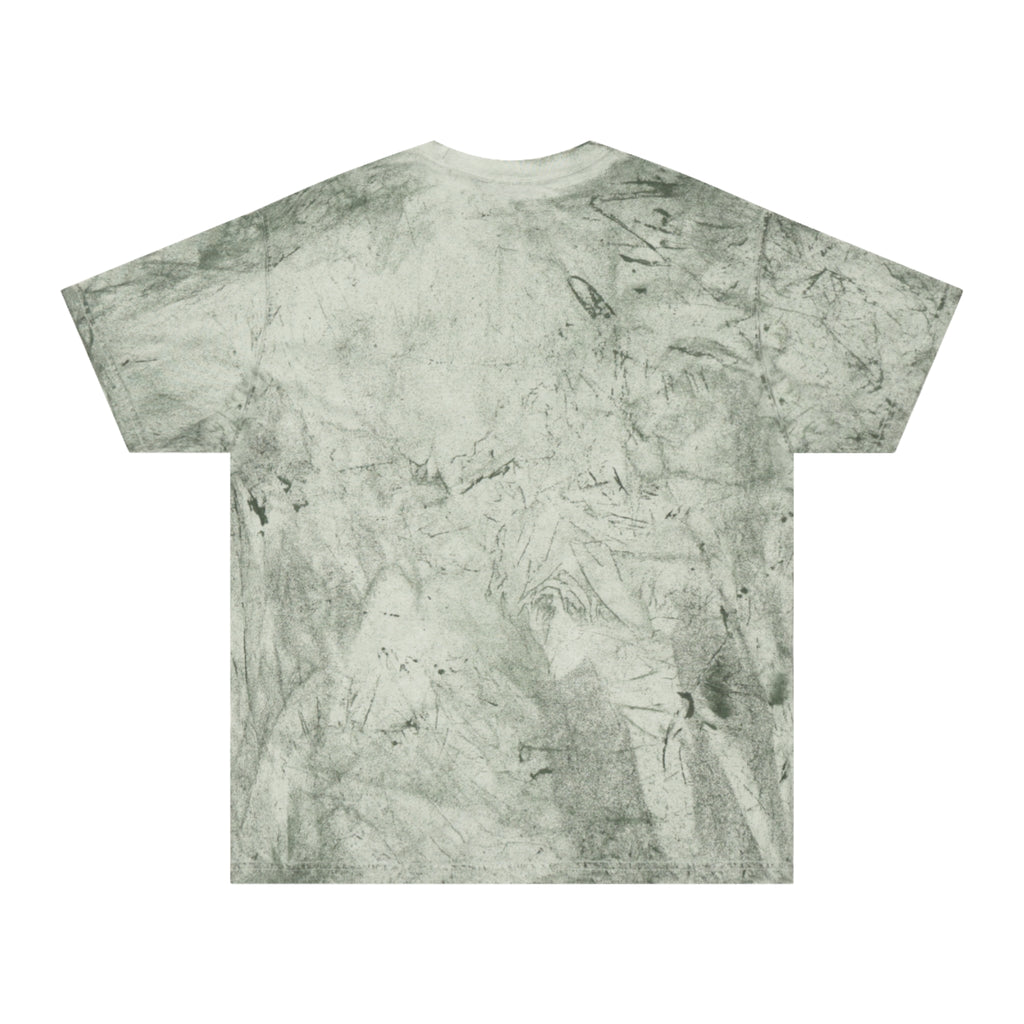 Color Blast Unisex T-Shirt - FoGirl